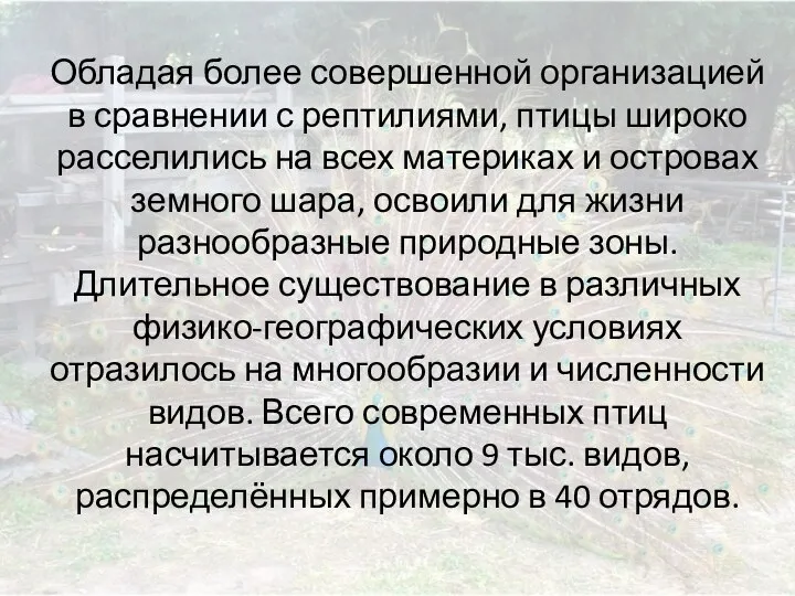 Обладая более совершенной организацией в сравнении с рептилиями, птицы широко расселились