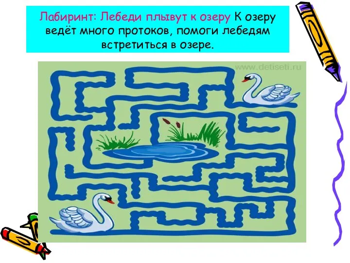 Лабиринт: Лебеди плывут к озеру К озеру ведёт много протоков, помоги лебедям встретиться в озере.