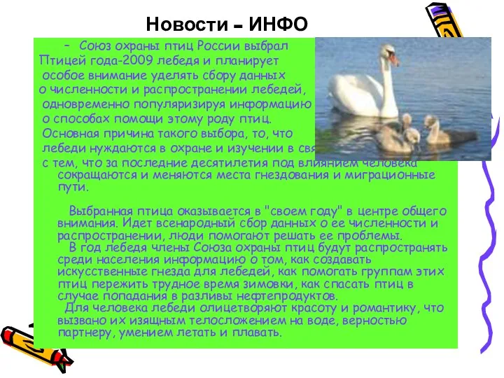 Новости - ИНФО Союз охраны птиц России выбрал Птицей года-2009 лебедя