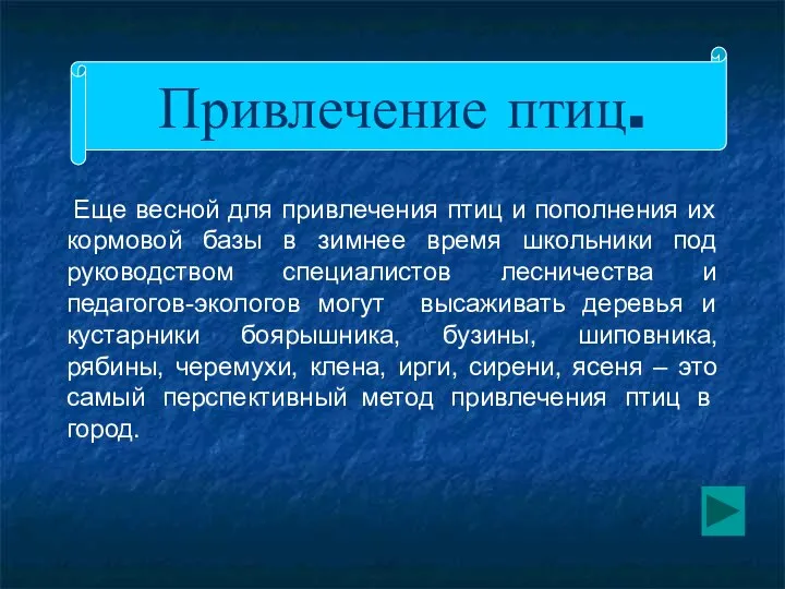 Привлечение птиц. Еще весной для привлечения птиц и пополнения их кормовой