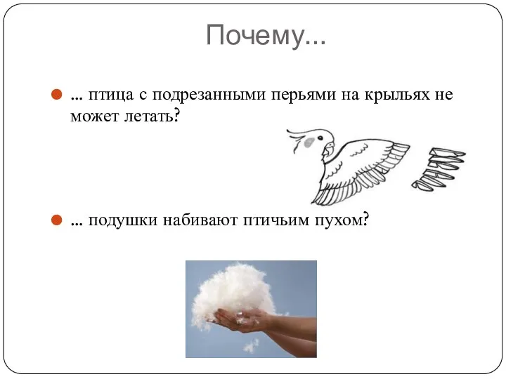 Почему… … птица с подрезанными перьями на крыльях не может летать? … подушки набивают птичьим пухом?