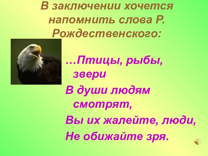В заключении хочется напомнить слова Р.Рождественского: …Птицы, рыбы, звери В души