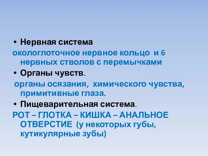 Нервная система окологлоточное нервное кольцо и 6 нервных стволов с перемычками