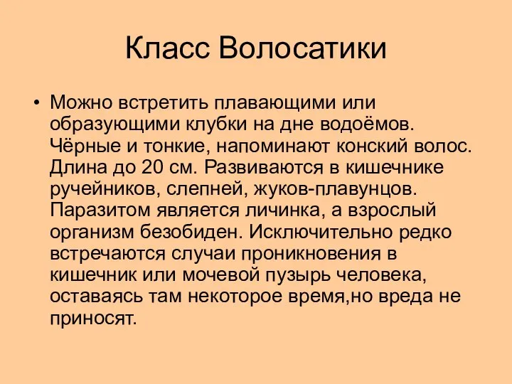 Класс Волосатики Можно встретить плавающими или образующими клубки на дне водоёмов.