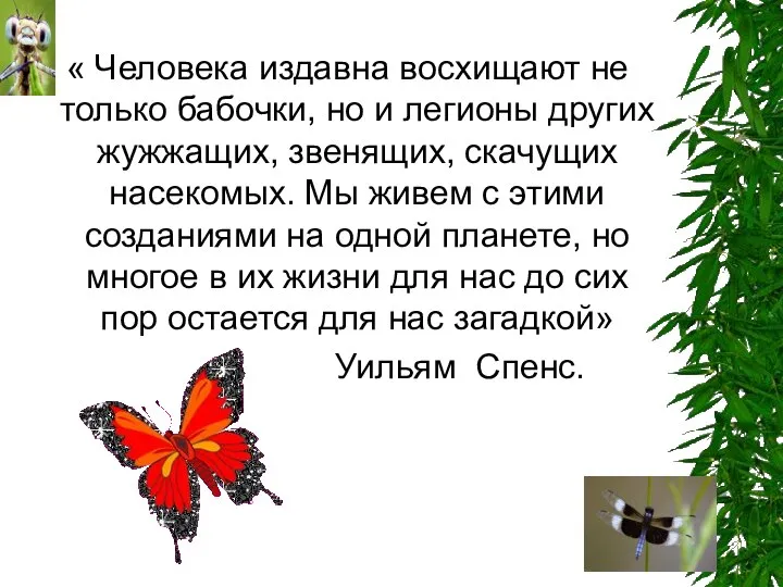 « Человека издавна восхищают не только бабочки, но и легионы других