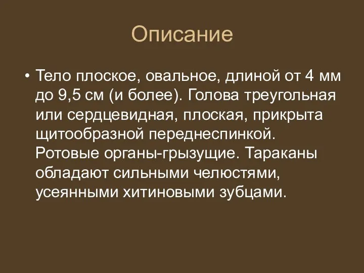 Описание Тело плоское, овальное, длиной от 4 мм до 9,5 см