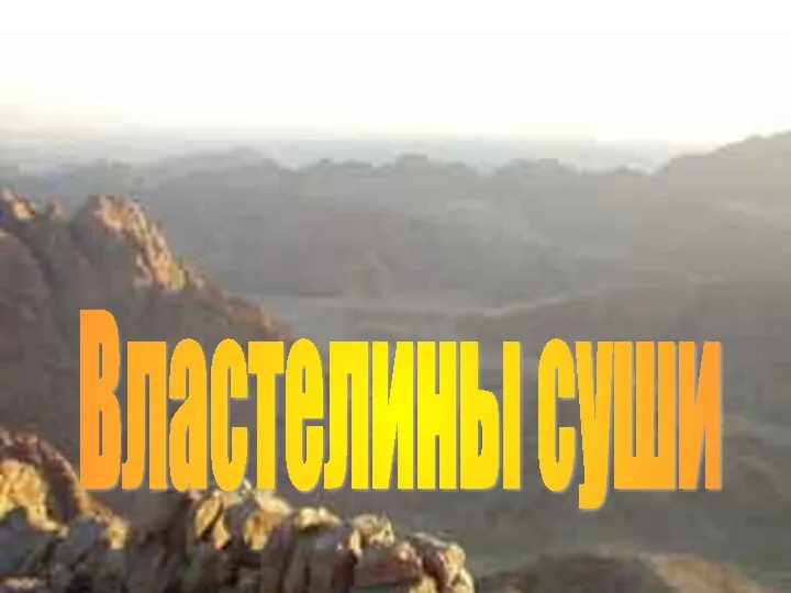 Властелины суши