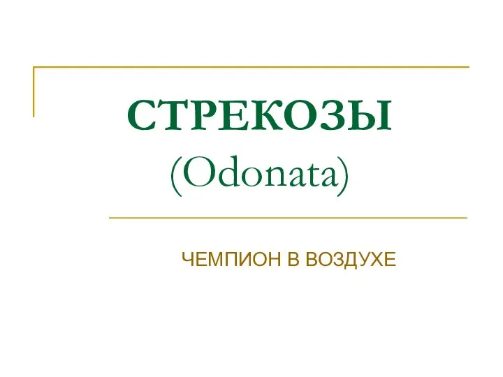 СТРЕКОЗЫ (Odonata) ЧЕМПИОН В ВОЗДУХЕ