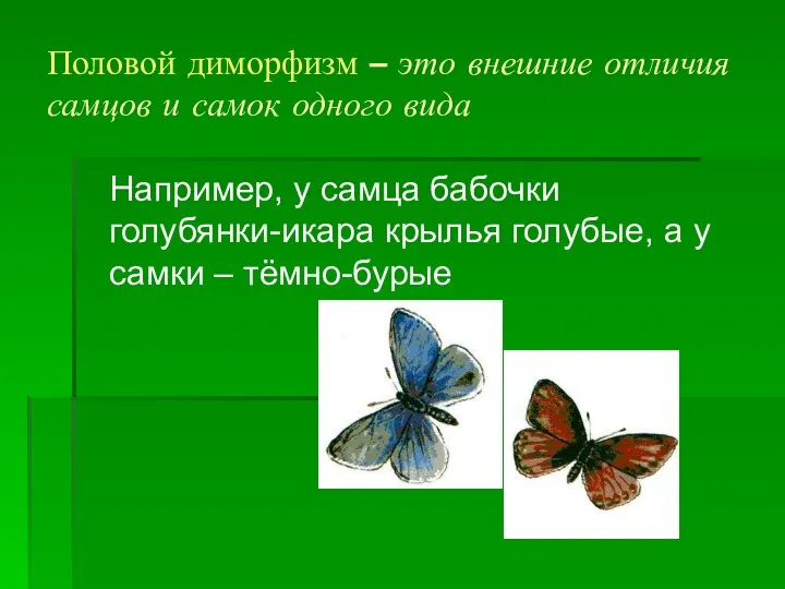 Половой диморфизм – это внешние отличия самцов и самок одного вида