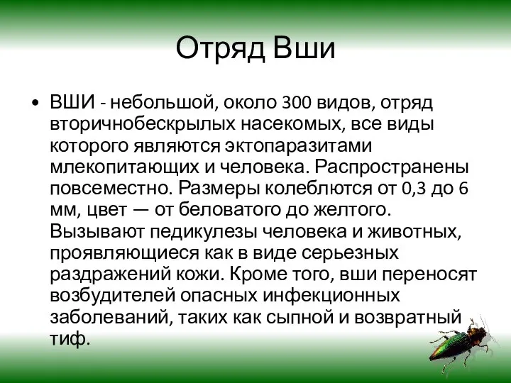 Отряд Вши ВШИ - небольшой, около 300 видов, отряд вторичнобескрылых насекомых,