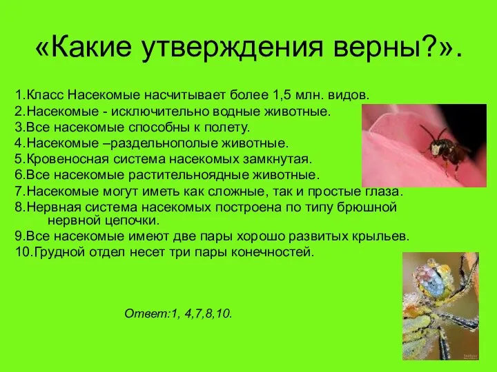 «Какие утверждения верны?». 1.Класс Насекомые насчитывает более 1,5 млн. видов. 2.Насекомые