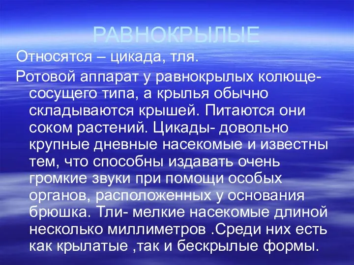 РАВНОКРЫЛЫЕ Относятся – цикада, тля. Ротовой аппарат у равнокрылых колюще-сосущего типа,