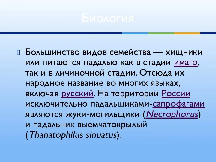 Большинство видов семейства — хищники или питаются падалью как в стадии