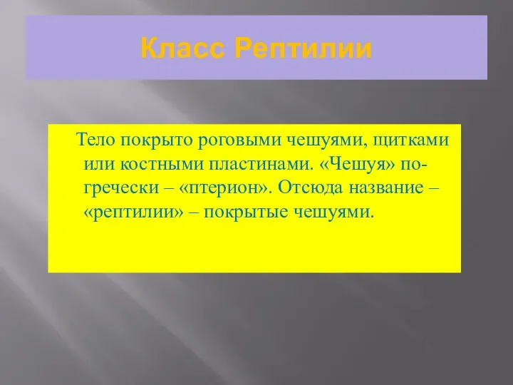 Класс Рептилии Тело покрыто роговыми чешуями, щитками или костными пластинами. «Чешуя»