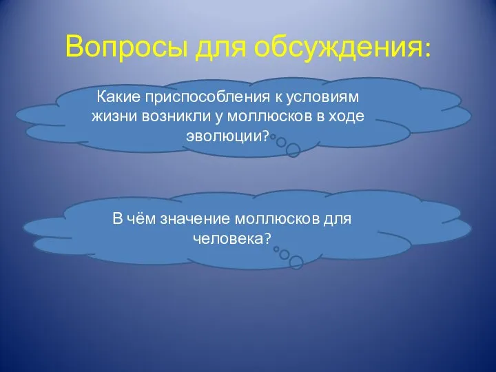 Вопросы для обсуждения: Какие приспособления к условиям жизни возникли у моллюсков