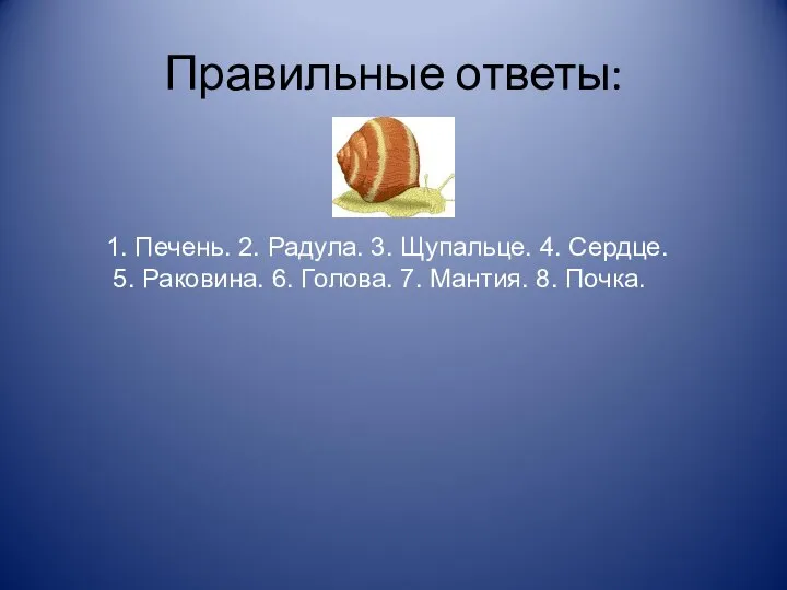 Правильные ответы: 1. Печень. 2. Радула. 3. Щупальце. 4. Сердце. 5.