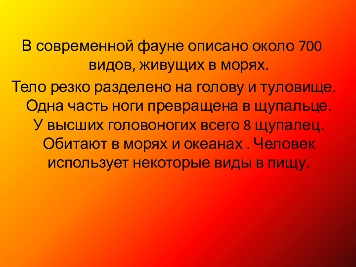 В современной фауне описано около 700 видов, живущих в морях. Тело