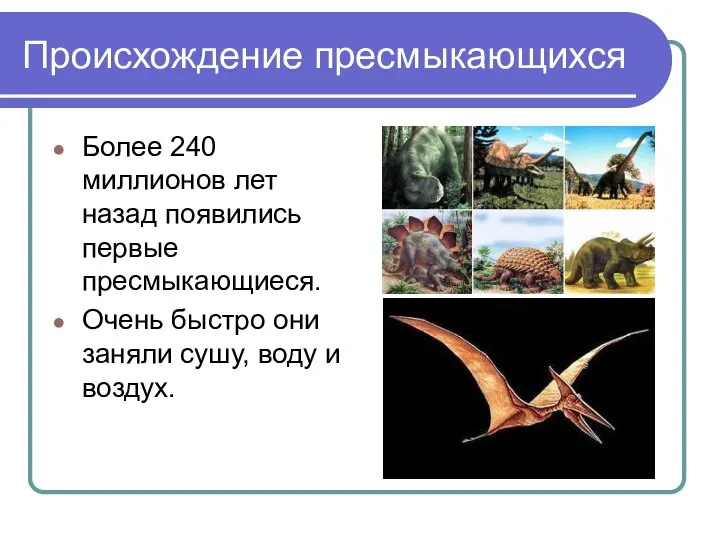 Происхождение пресмыкающихся Более 240 миллионов лет назад появились первые пресмыкающиеся. Очень