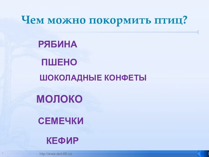 Чем можно покормить птиц? * http://www.deti-66.ru/ РЯБИНА ПШЕНО ШОКОЛАДНЫЕ КОНФЕТЫ МОЛОКО СЕМЕЧКИ КЕФИР