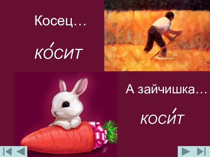 Косец… КОСИТ А зайчишка… КОСИТ