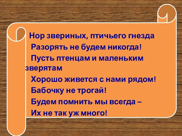 Нор звериных, птичьего гнезда Разорять не будем никогда! Пусть птенцам и