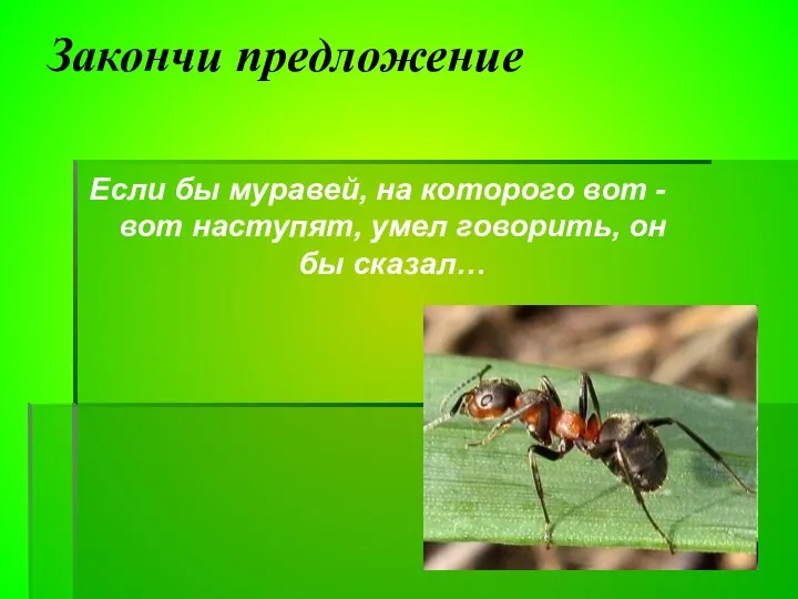 Закончи предложение Если бы муравей, на которого вот -вот наступят, умел говорить, он бы сказал…