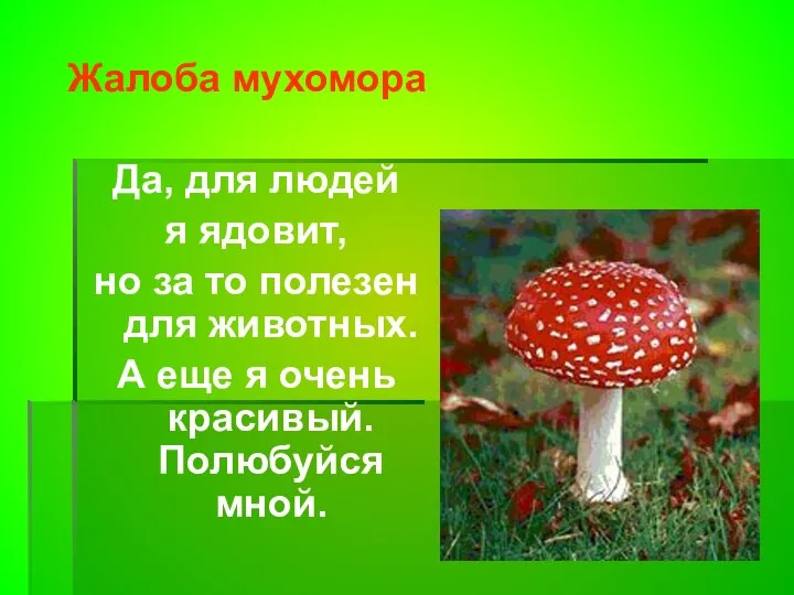 Жалоба мухомора Да, для людей я ядовит, но за то полезен