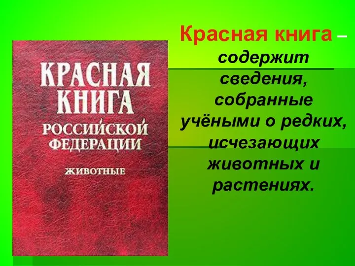 Красная книга –содержит сведения, собранные учёными о редких, исчезающих животных и растениях.