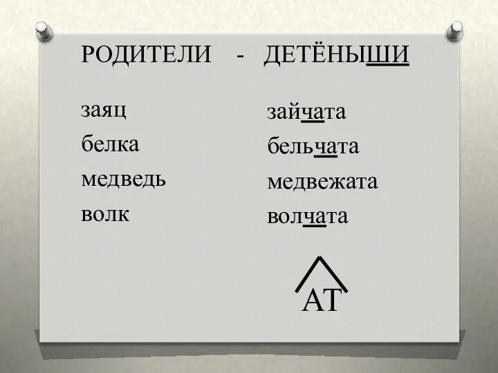 заяц белка медведь волк зайчата бельчата медвежата волчата РОДИТЕЛИ - ДЕТЁНЫШИ АТ