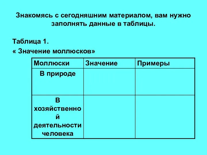 Знакомясь с сегодняшним материалом, вам нужно заполнять данные в таблицы. Таблица 1. « Значение моллюсков»