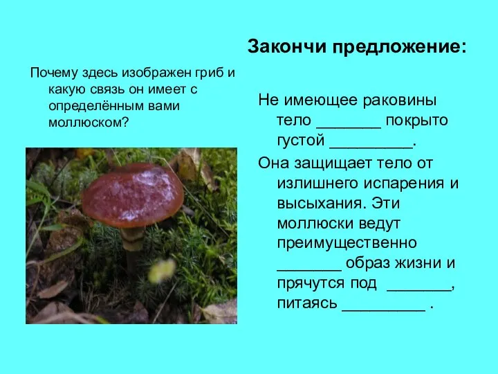 Закончи предложение: Почему здесь изображен гриб и какую связь он имеет