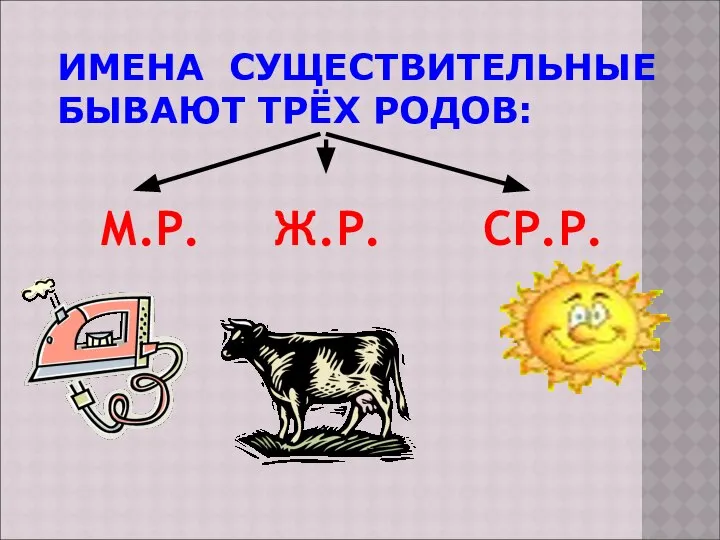 ИМЕНА СУЩЕСТВИТЕЛЬНЫЕ БЫВАЮТ ТРЁХ РОДОВ: М.Р. Ж.Р. СР.Р.