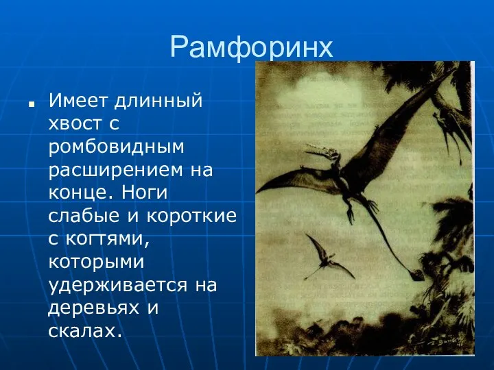 Рамфоринх Имеет длинный хвост с ромбовидным расширением на конце. Ноги слабые