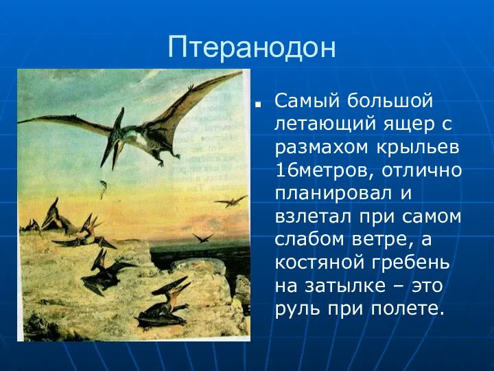 Птеранодон Самый большой летающий ящер с размахом крыльев 16метров, отлично планировал