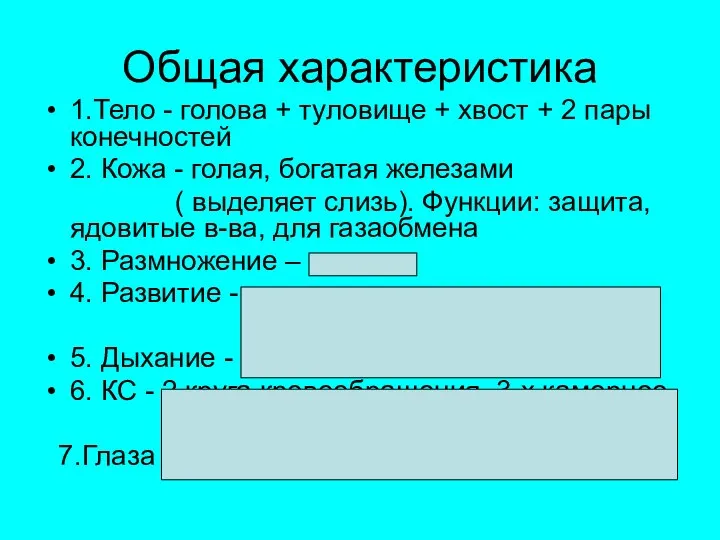 Общая характеристика 1.Тело - голова + туловище + хвост + 2