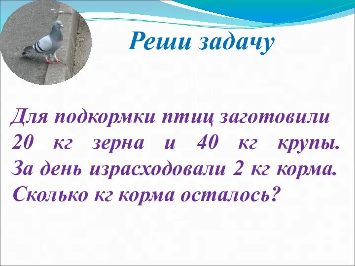 Реши задачу Для подкормки птиц заготовили 20 кг зерна и 40