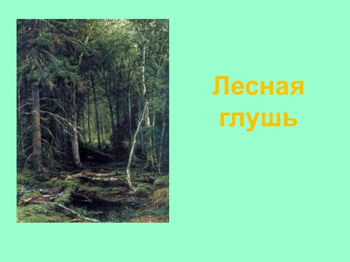 Лесная глушь