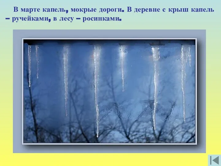 В марте капель, мокрые дороги. В деревне с крыш капель – ручейками, в лесу – росинками.