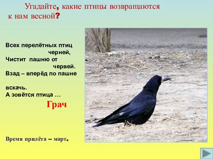 Угадайте, какие птицы возвращаются к нам весной? Всех перелётных птиц черней,