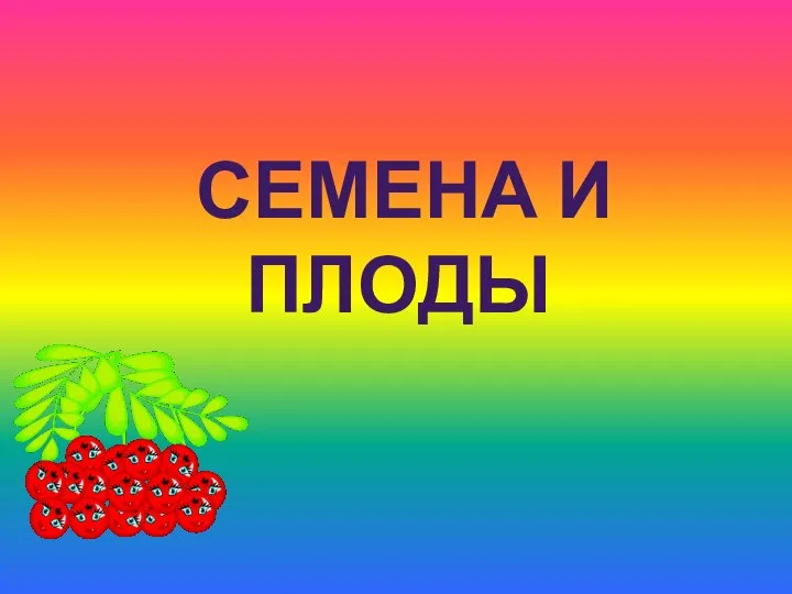 Семена и плоды