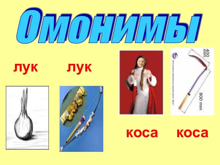 Омонимы лук лук коса коса