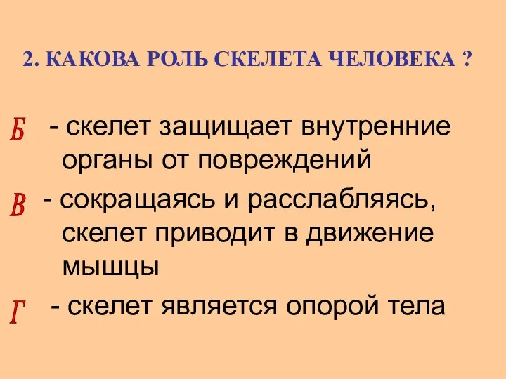 2. КАКОВА РОЛЬ СКЕЛЕТА ЧЕЛОВЕКА ? - скелет защищает внутренние органы