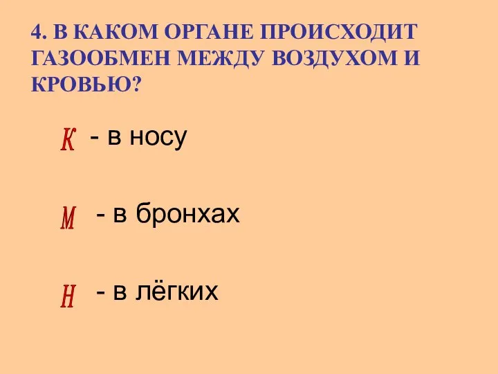 4. В КАКОМ ОРГАНЕ ПРОИСХОДИТ ГАЗООБМЕН МЕЖДУ ВОЗДУХОМ И КРОВЬЮ? -