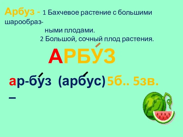 Арбуз - 1 Бахчевое растение с большими шарообраз- ными плодами. 2