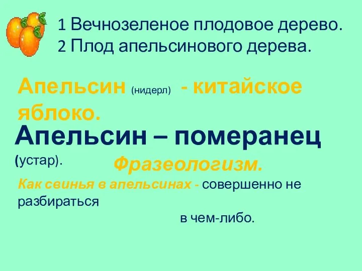 1 Вечнозеленое плодовое дерево. 2 Плод апельсинового дерева. Апельсин (нидерл) -