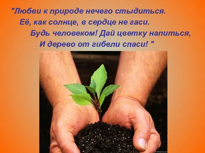 "Любви к природе нечего стыдиться. Её, как солнце, в сердце не