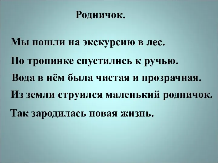 Родничок. Мы пошли на экскурсию в лес. По тропинке спустились к