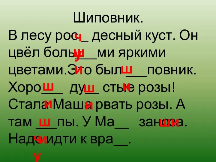 Шиповник. В лесу рос _ десный куст. Он цвёл боль___ми яркими