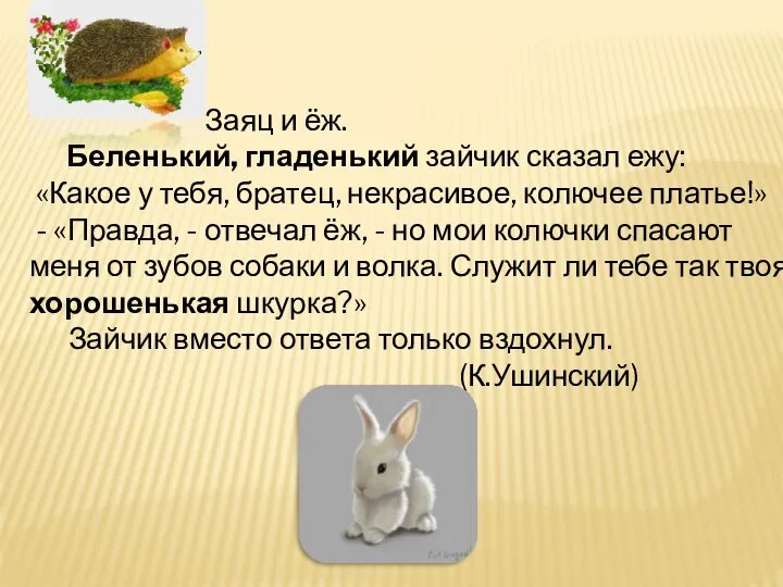 Заяц и ёж. Беленький, гладенький зайчик сказал ежу: «Какое у тебя,