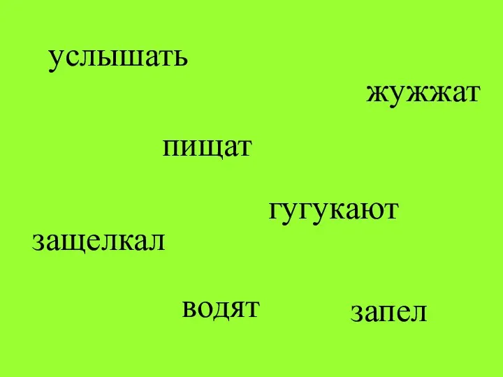 услышать пищат гугукают водят жужжат защелкал запел